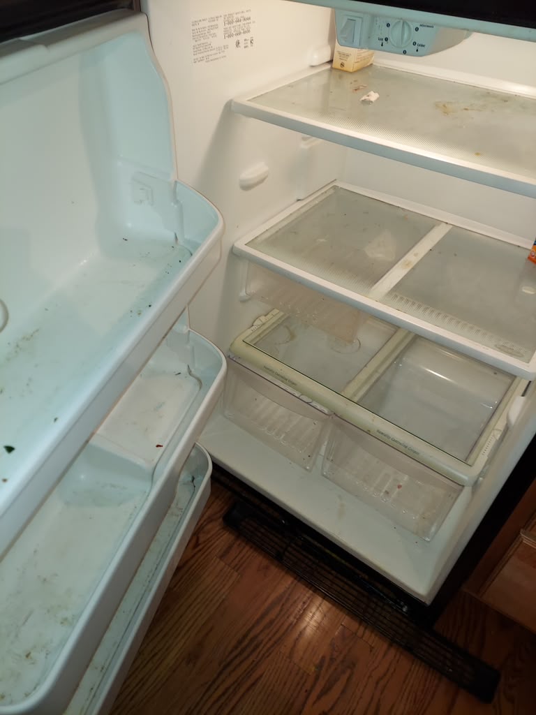 Refrigerator interior before cleaning with food residue and stains on shelves